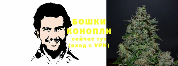 сатива Богородицк