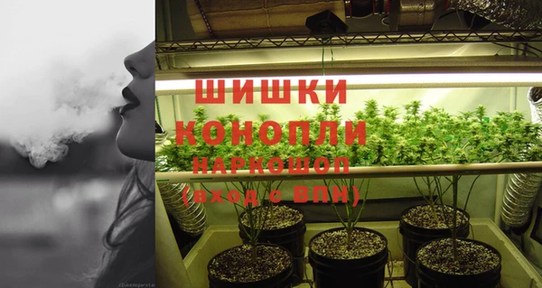 ешки Богородск
