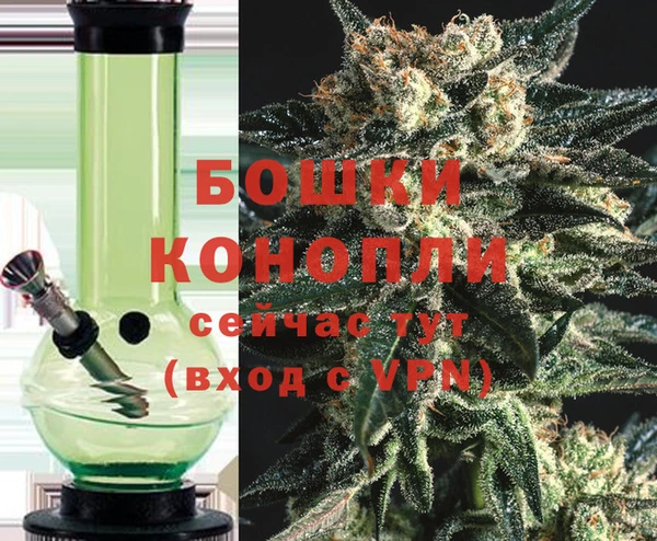 сатива Богородицк