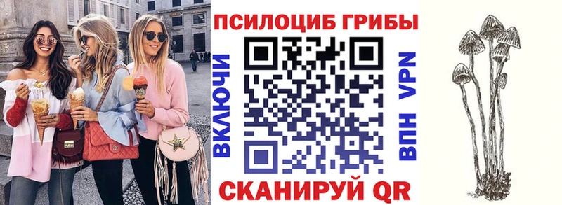 Галлюциногенные грибы прущие грибы  Миасс 